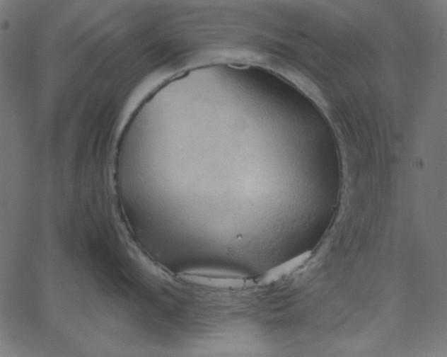 X0000067830912200604271551