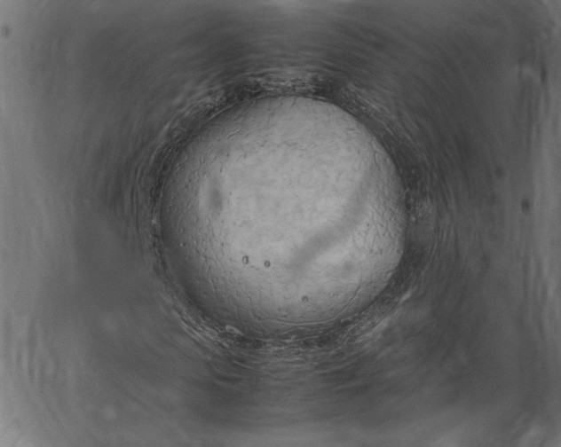 X0000067830913200604271550