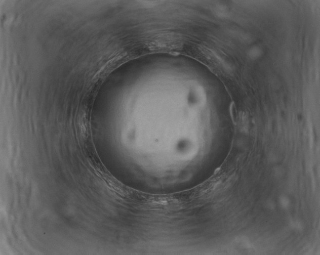 X0000067830915200604271550