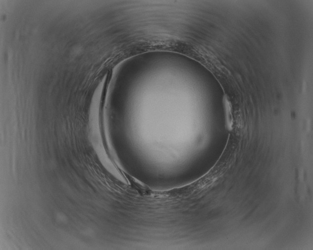 X0000067830916200604271550