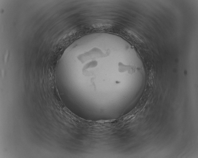 X0000067830917200604271550