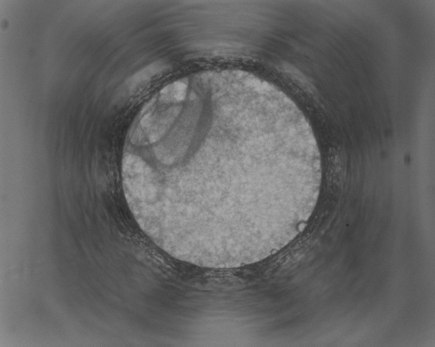 X0000067830918200604271550