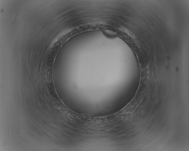 X0000067830919200604271550