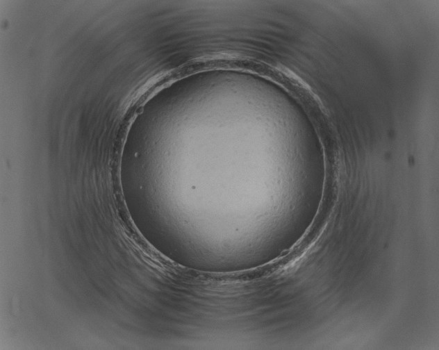 X0000067830921200604271550