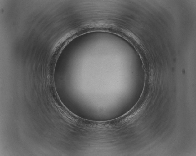 X0000067830922200604271550