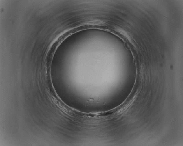 X0000067830923200604271550