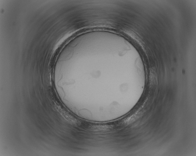 X0000067830925200604271550