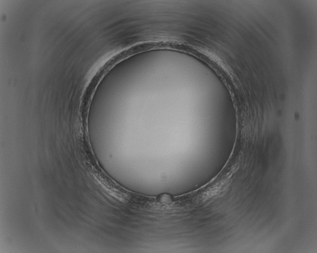 X0000067830927200604271550