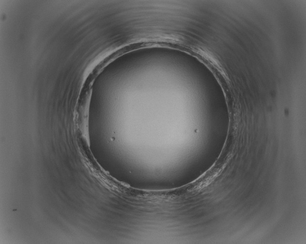 X0000067830928200604271551