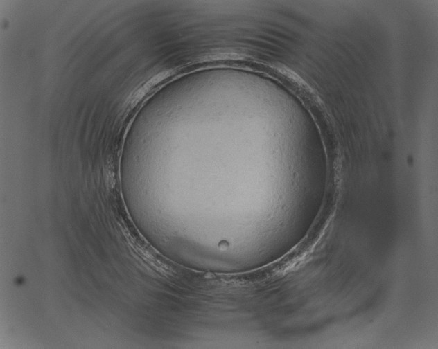 X0000067830929200604271551