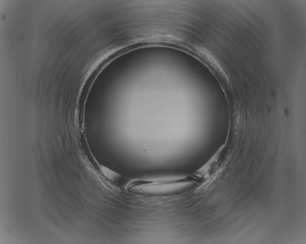 X0000067830932200604271551