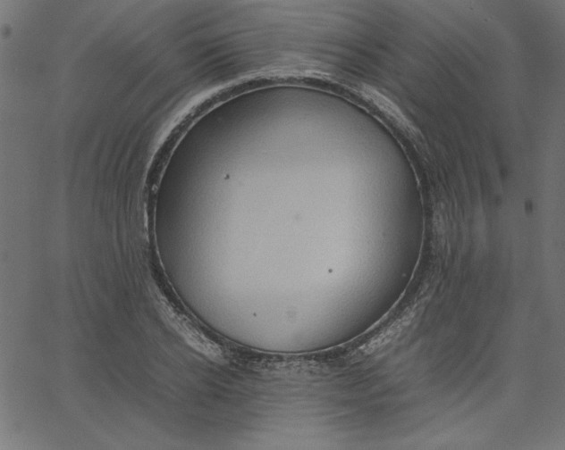 X0000067830934200604271551