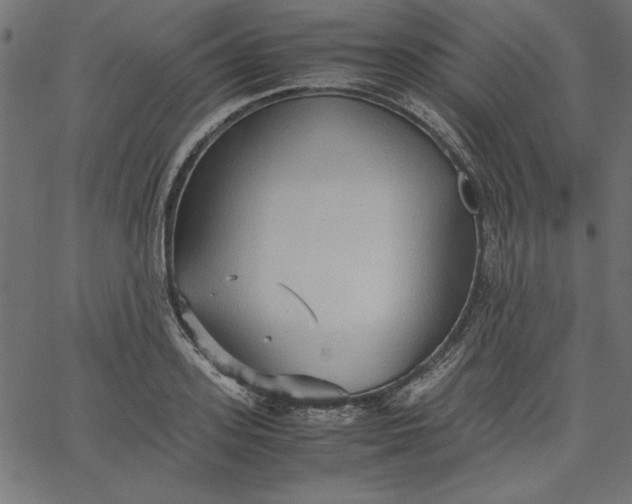 X0000067830939200604271551