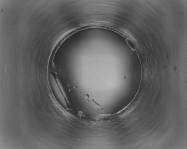 X0000067830940200604271551