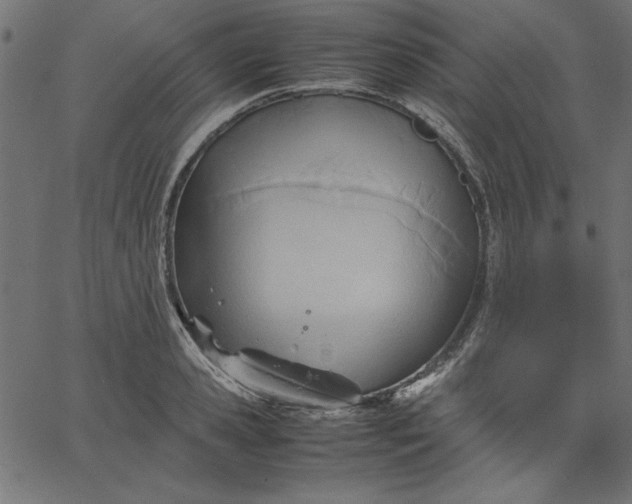 X0000067830941200604271551