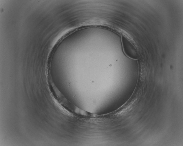 X0000067830942200604271551