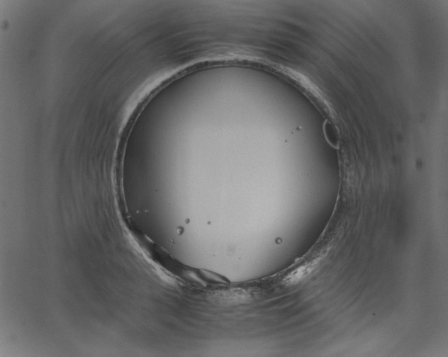 X0000067830943200604271551