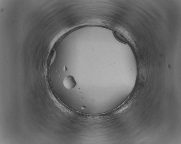 X0000067830944200604271551