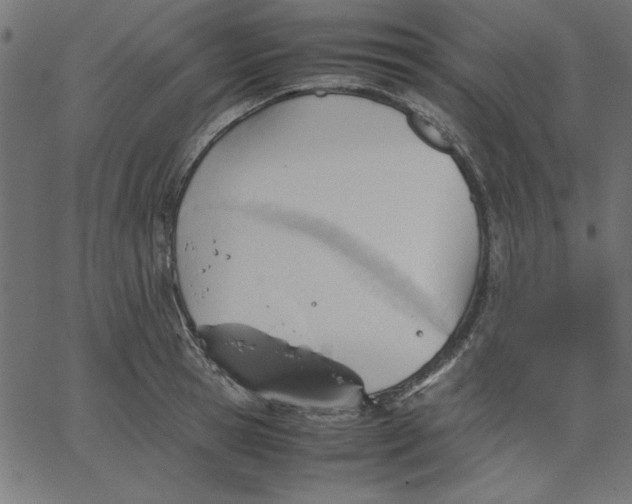 X0000067830945200604271551