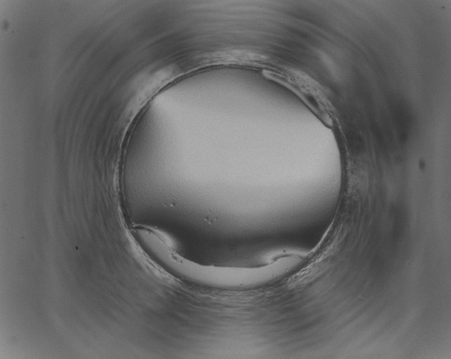 X0000067830946200604271551