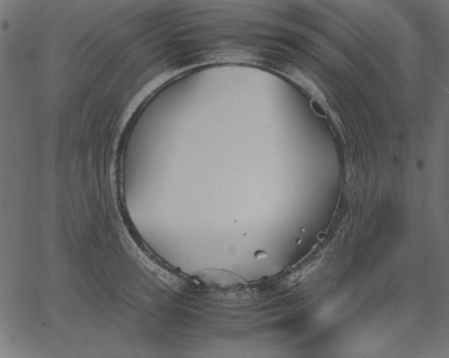 X0000067830947200604271551