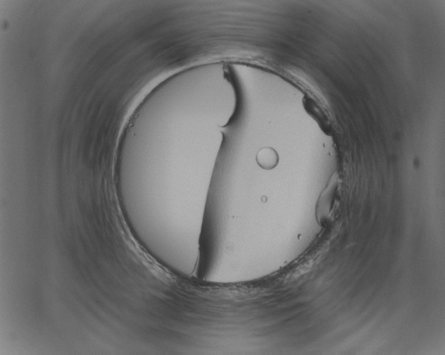 X0000067830948200604271551