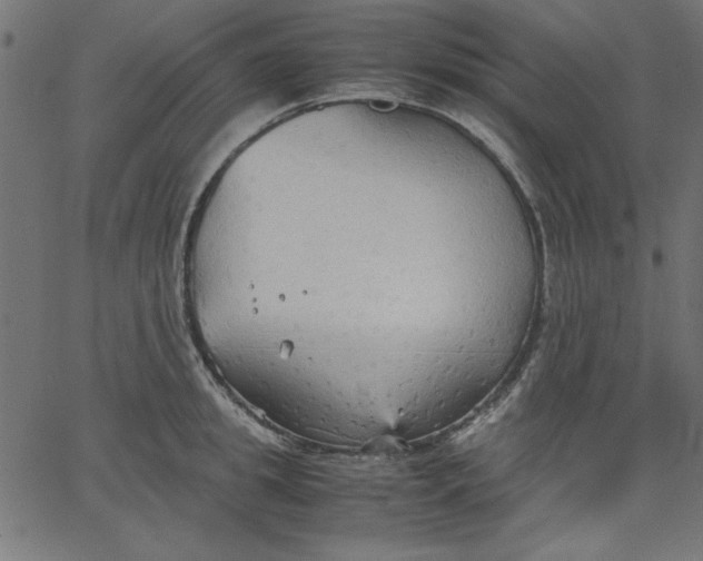 X0000067830949200604271551