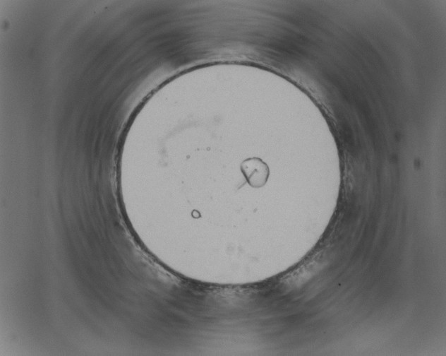 X0000067830950200604271551