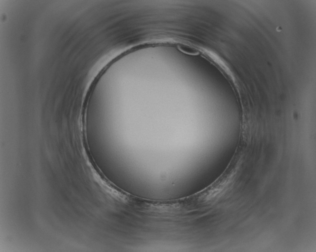 X0000067830951200604271551