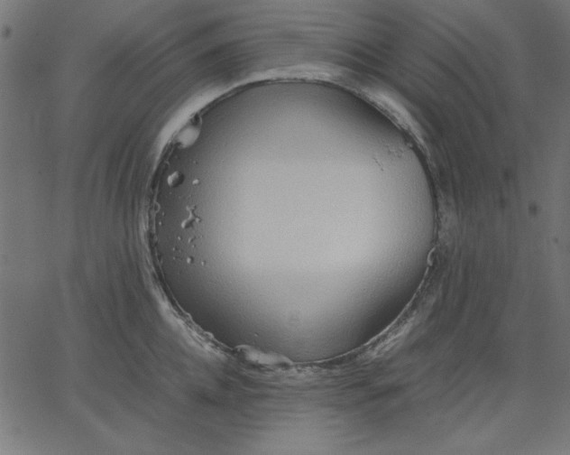 X0000067830952200604271551