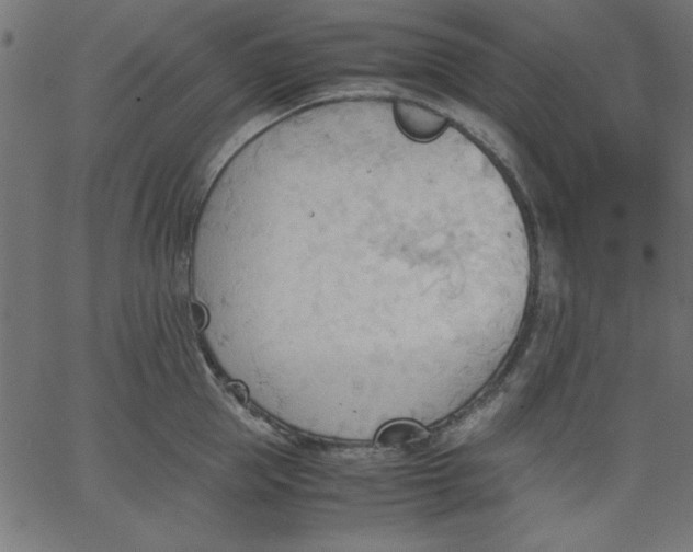 X0000067830953200604271551