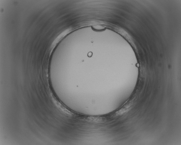 X0000067830954200604271551