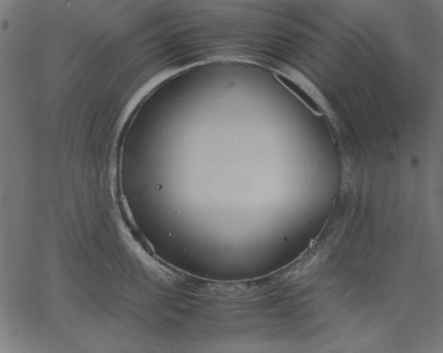 X0000067830955200604271551