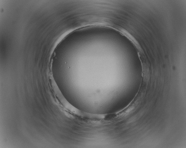 X0000067830956200604271551