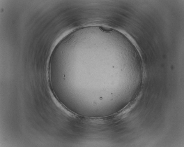 X0000067830957200604271551