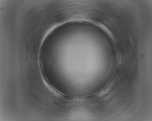 X0000067830958200604271551