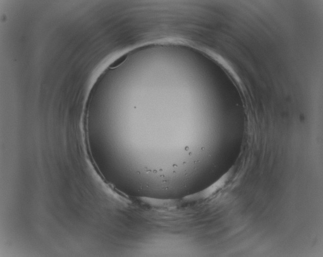 X0000067830959200604271551