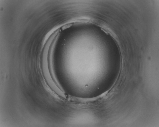 X0000067830960200604271551