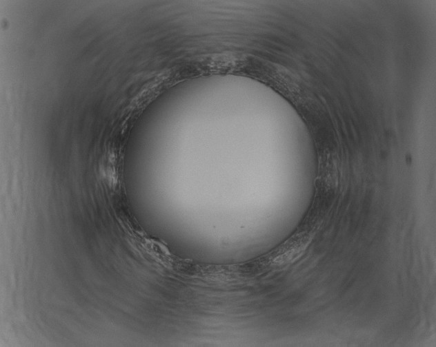 X0000067830962200604271550