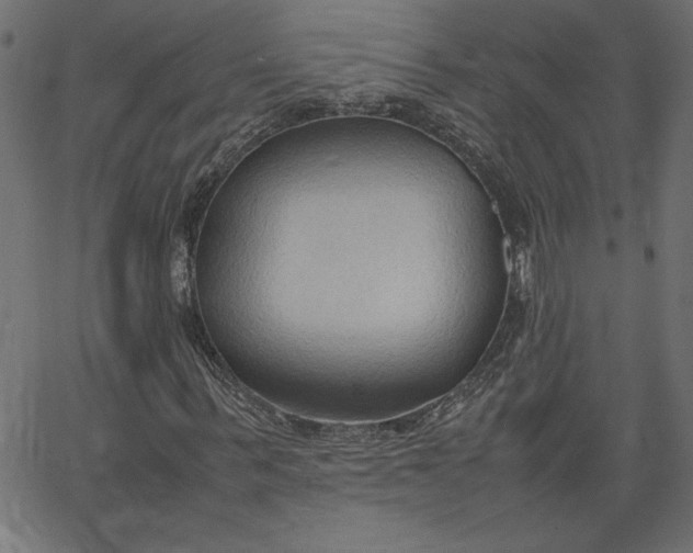 X0000067830963200604271550