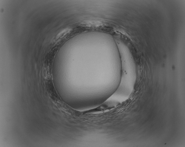 X0000067830965200604271550