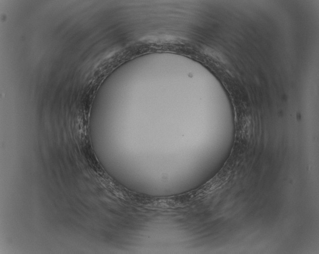 X0000067830966200604271550