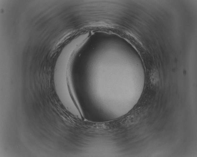 X0000067830968200604271550