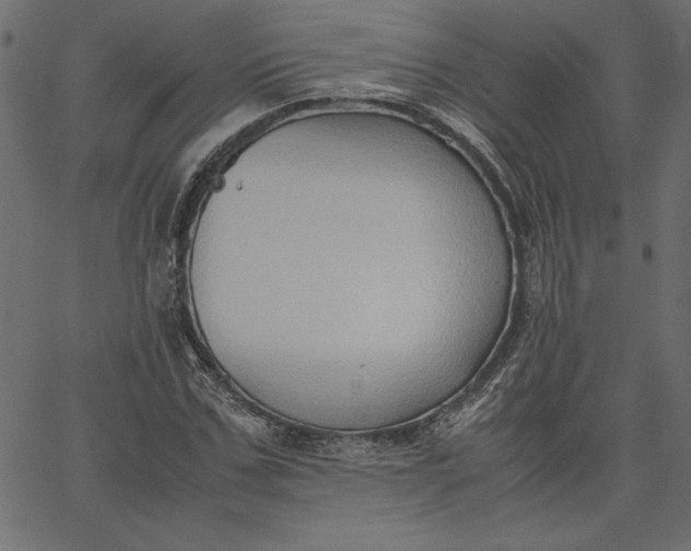 X0000067830971200604271550