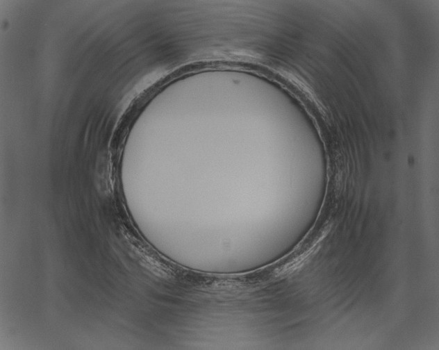 X0000067830974200604271550