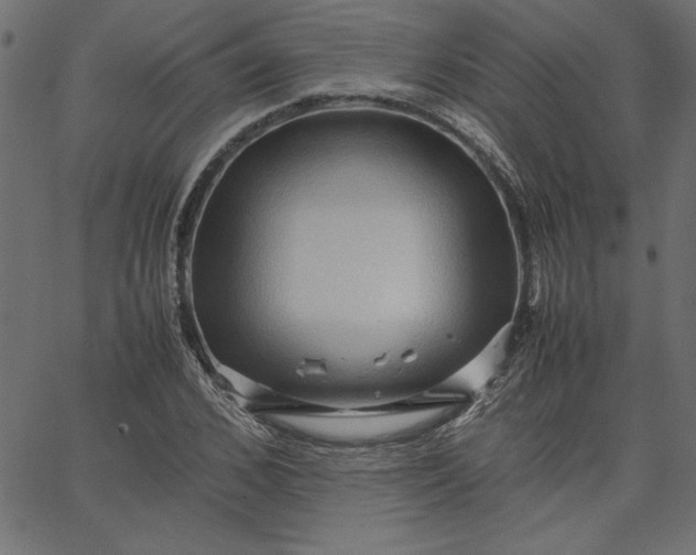 X0000067830976200604271550