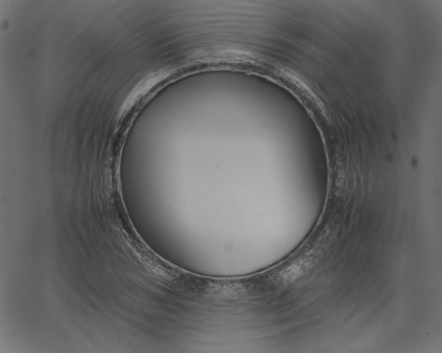 X0000067830978200604271550