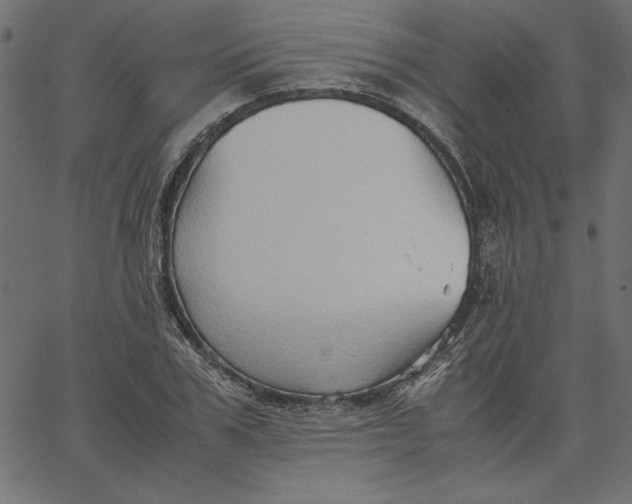 X0000067830979200604271550