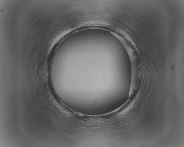 X0000067830981200604271550