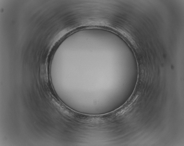 X0000067830982200604271550